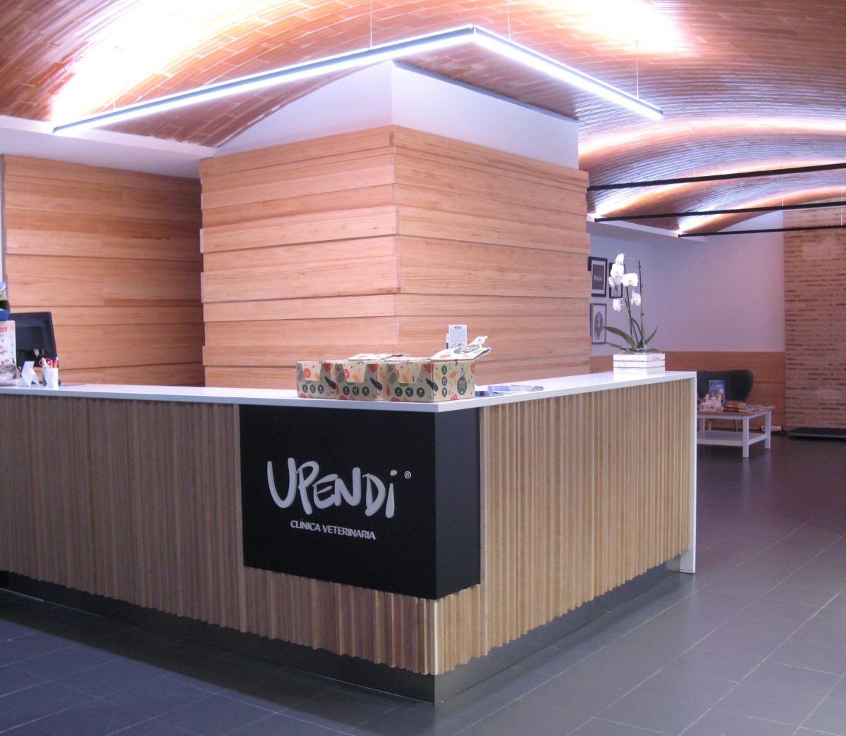 Clinica-Veterinaria-Moderna-4