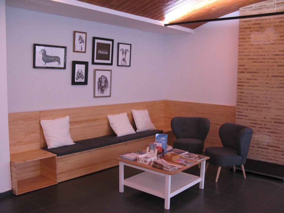 Clinica-Veterinaria-Moderna-6