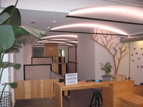 Clinica-Veterinaria-Moderna-1