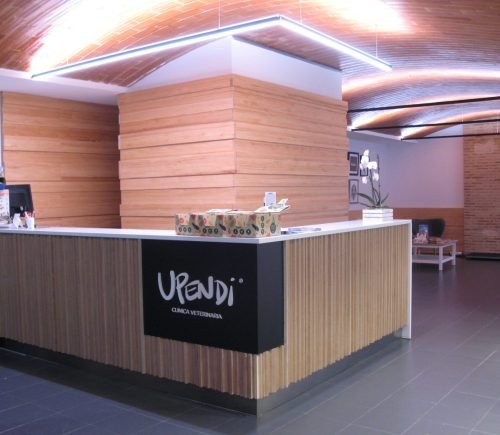 Clinica-Veterinaria-Moderna-4